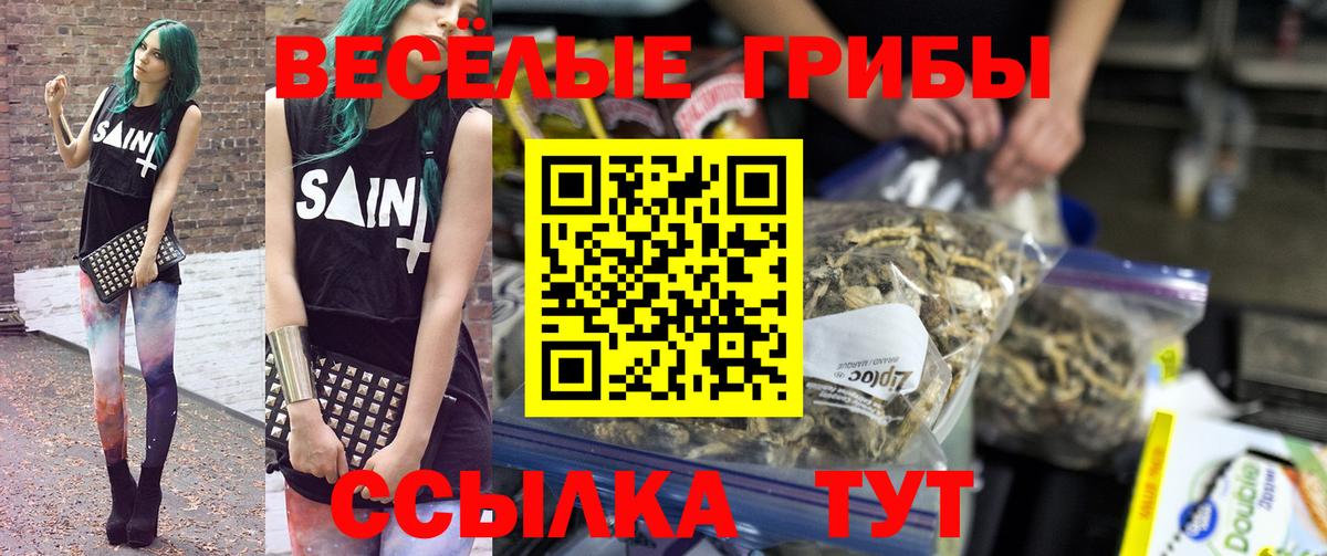 Псилоцибиновые грибы мухоморы Новокуйбышевск