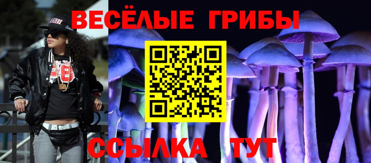 Галлюциногенные грибы GOLDEN TEACHER  Псилоцибиновые грибы GOLDEN TEACHER  Новокуйбышевск  Вход с VPN 